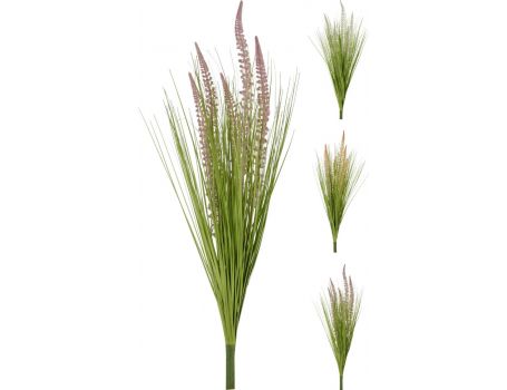 Декоративна трева, 3 вида