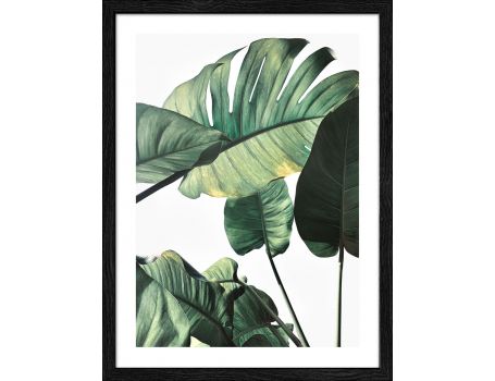 Картина "Листа от джунглата"