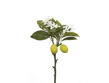 Декоративен лимон