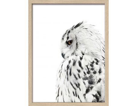 Картина Snow Owl