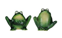 Декоративна жаба, 2 вида