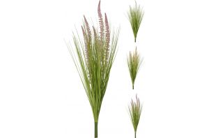 Декоративна трева, 3 вида