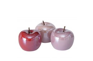 Декоративна ябълка, 3 цвята