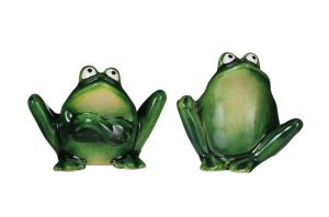 Декоративна жаба, 2 вида