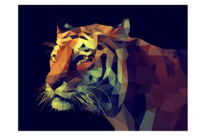 Картина COLOURFUL TIGER