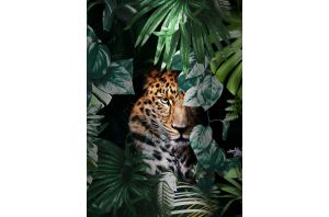 Картина "Ягуар в джунглата"