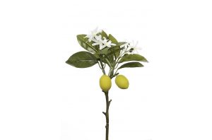 Декоративен лимон