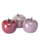 Декоративна ябълка, 3 цвята