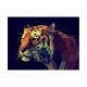 Картина COLOURFUL TIGER